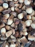 DANTI PORCINO EXTRA 5Kg