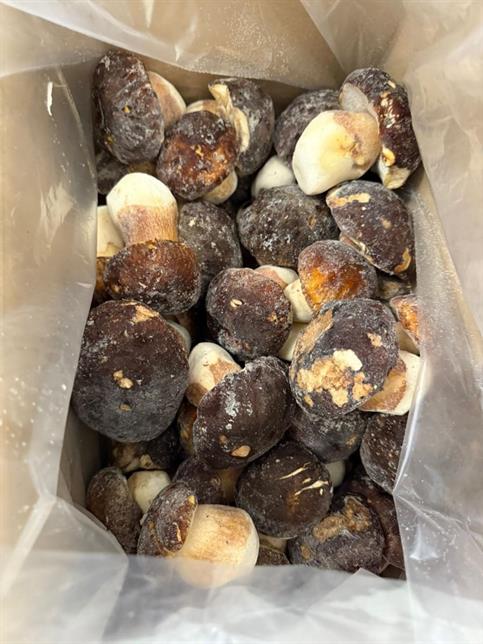 DI BIASE PORCINO EXTRA 5Kg