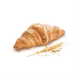 ALEM TRADIZIONALE VUOTO 70gr PZ50