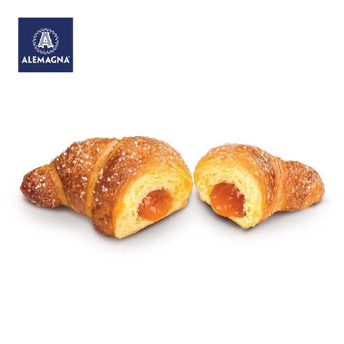 ALEM GRAN BRIO ALBICOCCA 50x90gr