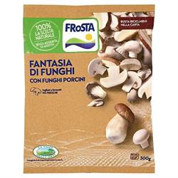 VDO Fantasia di funghi 10x300g